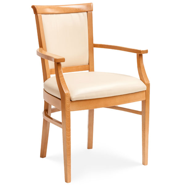 Rebecca Dining Chair in care and leisure manhattan Faux